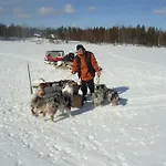 Your Peace Of Lapland Rovaniemi
