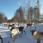 Your Peace Of Lapland Rovaniemi