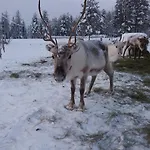 Your Peace Of Lapland Huvilat Rovaniemi