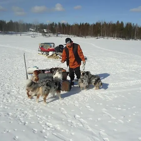Your Peace Of Lapland Rovaniemi
