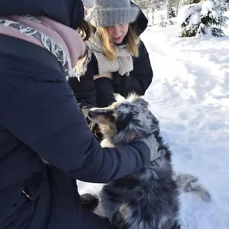 Your Peace Of Lapland Villa *