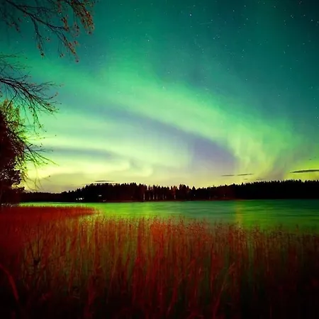 Your Peace Of Lapland Rovaniemi