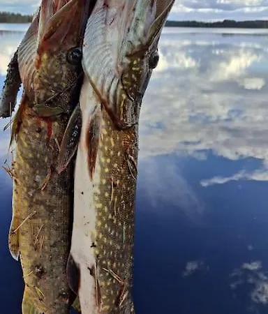 Your Peace Of Lapland * Rovaniemi