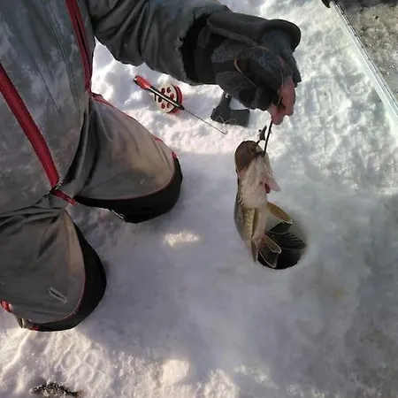 Your Peace Of Lapland