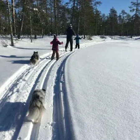 Your Peace Of Lapland