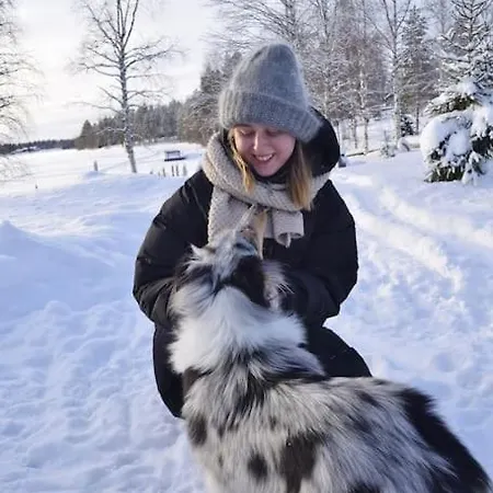 Your Peace Of Lapland *