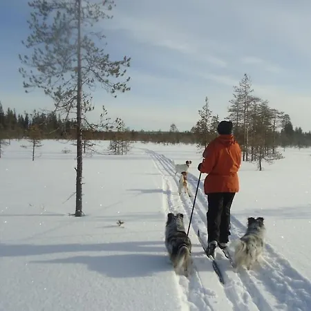 Your Peace Of Lapland *