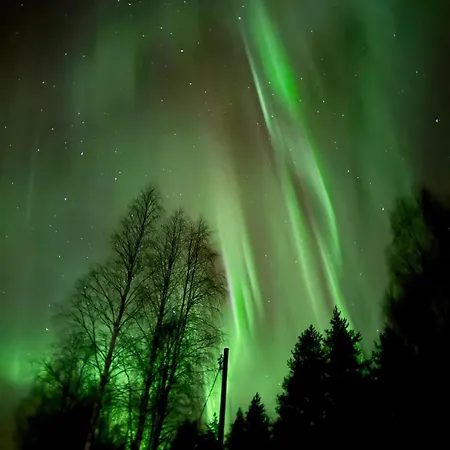 Your Peace Of Lapland *