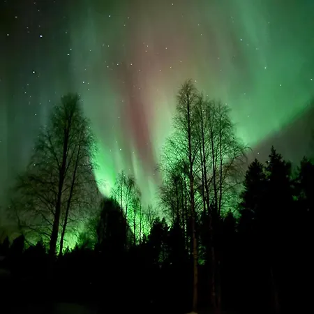 Your Peace Of Lapland Villa