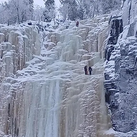Your Peace Of Lapland *