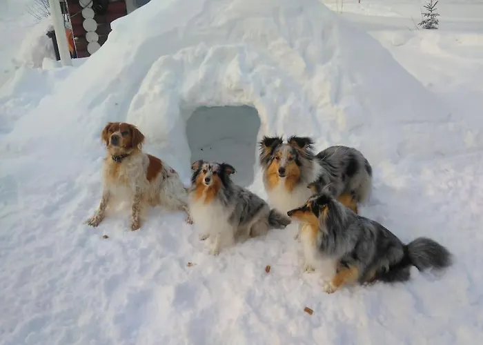 ヴィラ Your Peace Of Lapland *