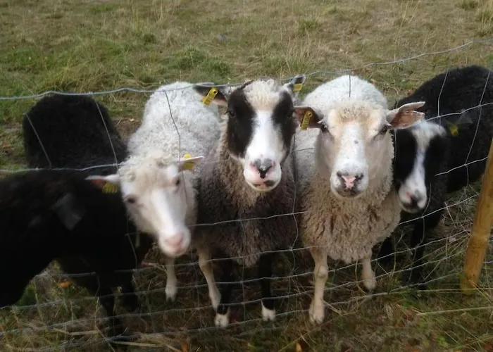 Your Peace Of Lapland ヴィラ *