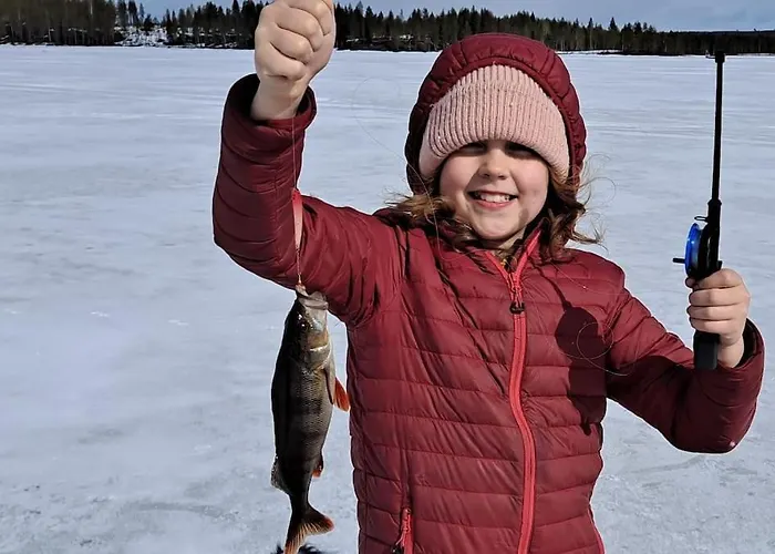 Your Peace Of Lapland Rovaniemi