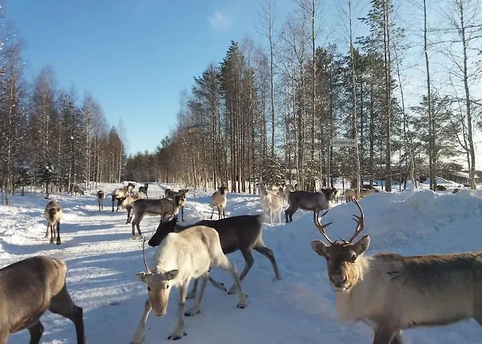 Your Peace Of Lapland ロヴァニエミ