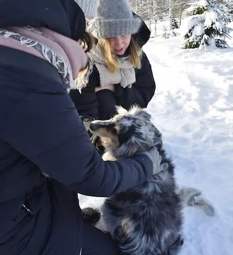 Your Peace Of Lapland ヴィラ *