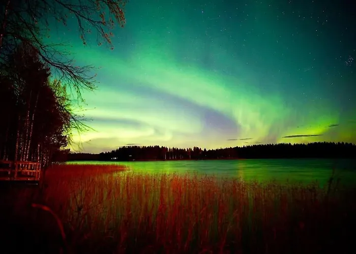 Your Peace Of Lapland Rovaniemi