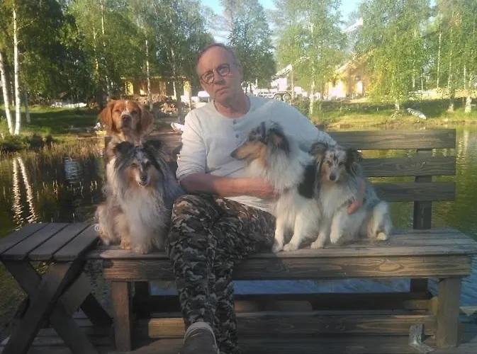 Your Peace Of Lapland