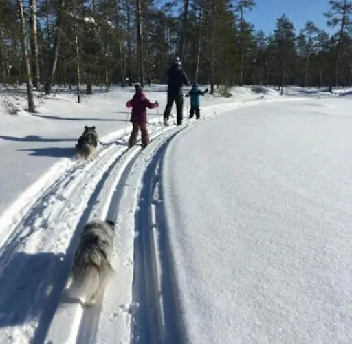 Your Peace Of Lapland