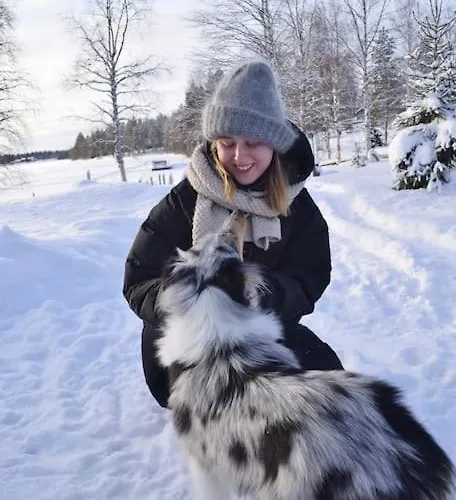 Your Peace Of Lapland *