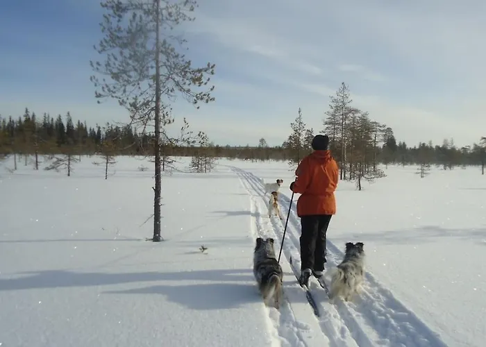 Your Peace Of Lapland *